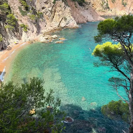 Zen Sea Views شقة *